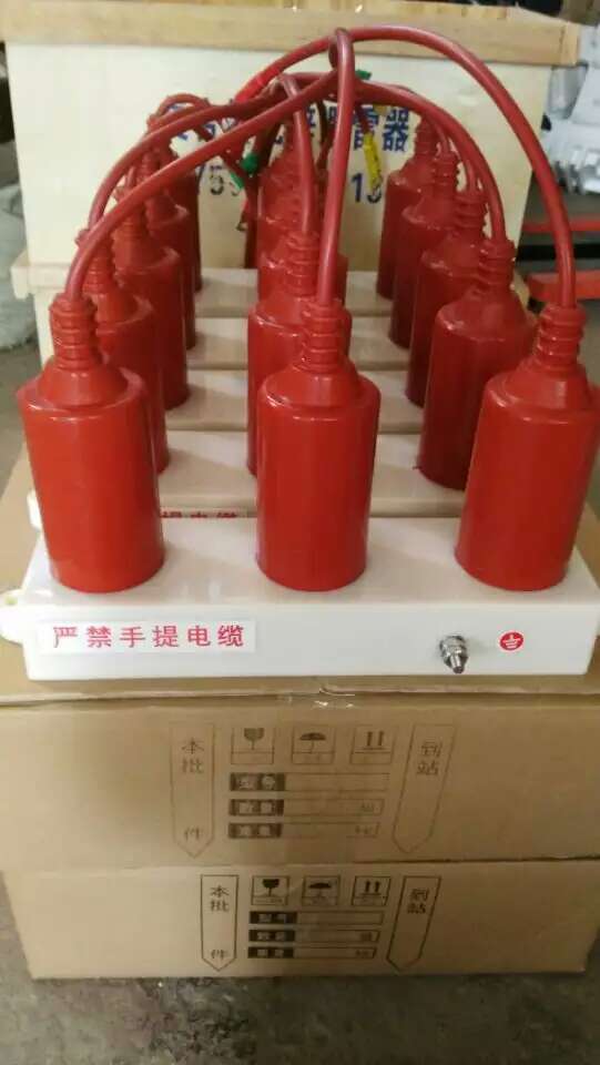 厂家供应TBP-B-12.7F/131 10KV户外过电压保护器  避雷器示例图3