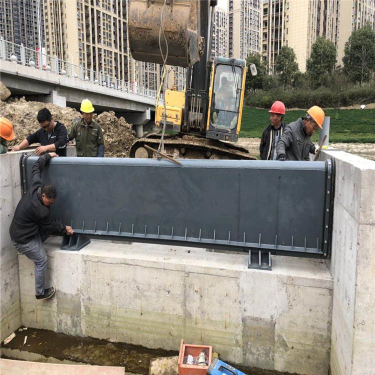 加工定制合页坝 景观钢坝闸门 液压升降坝 升降坝 液压钢坝欢迎定制示例图11