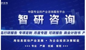 2023-2029年中国直线电机行业市场现状分析及投资前景评估报告