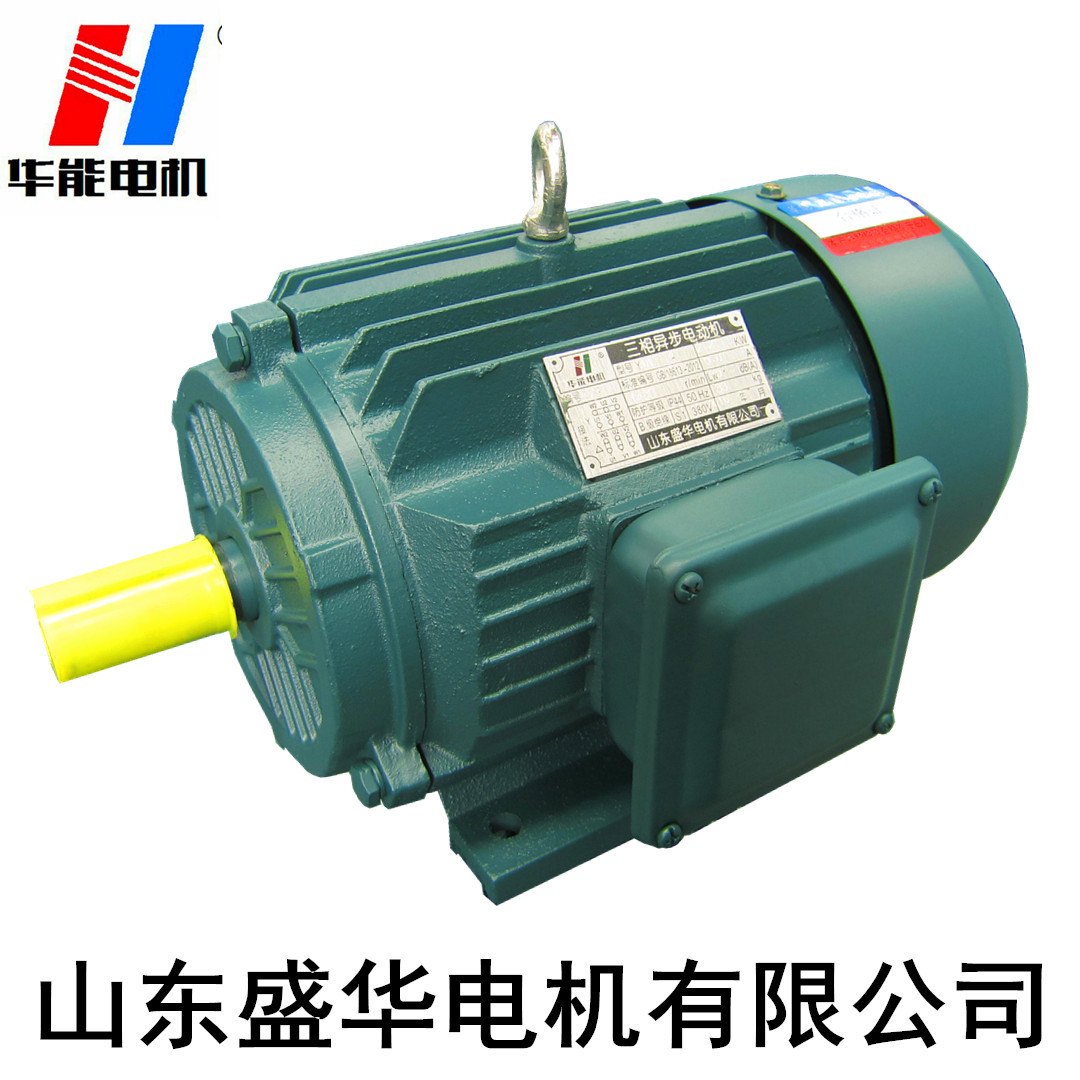 YE2 100L B3