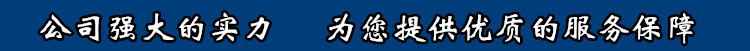 公司强大的实力