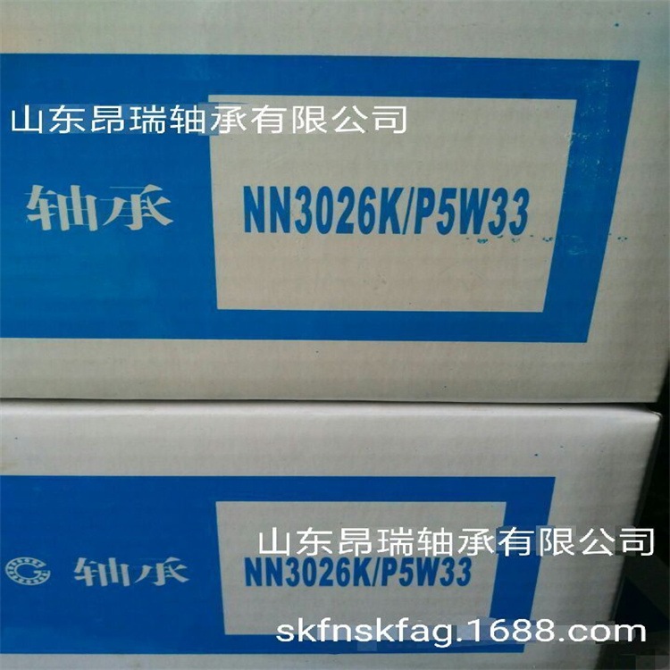 NN3026K/P5W33