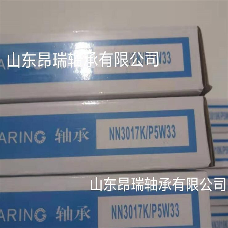 NN3017K/P5W33