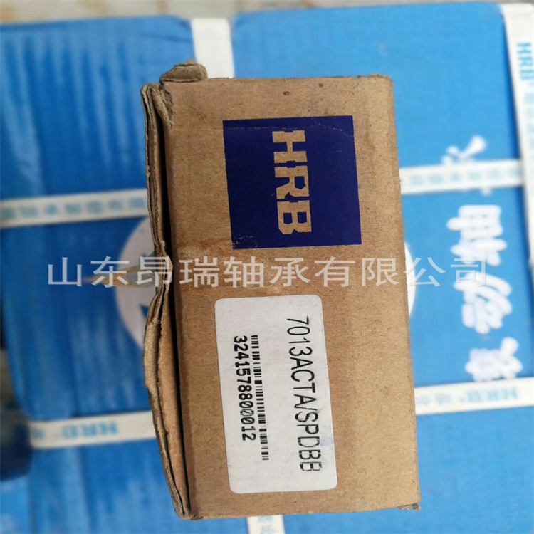 6209-2RS1