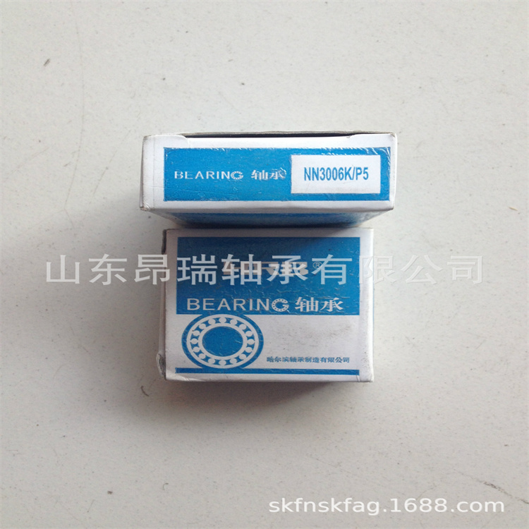 NN3006K/P5