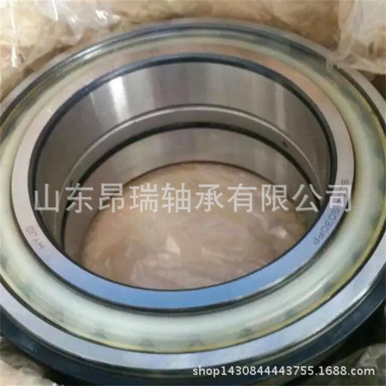 进口轴承 (6)