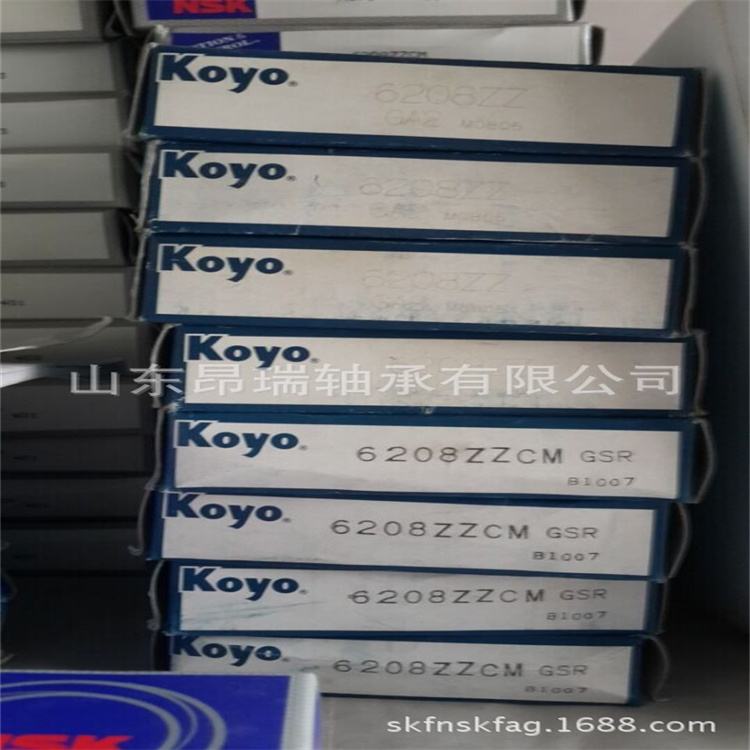 进口轴承 (1)