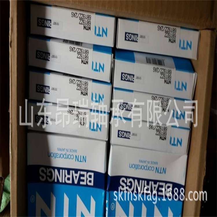 NTN (10)