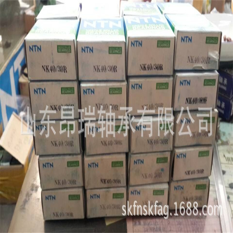 进口轴承 (51)