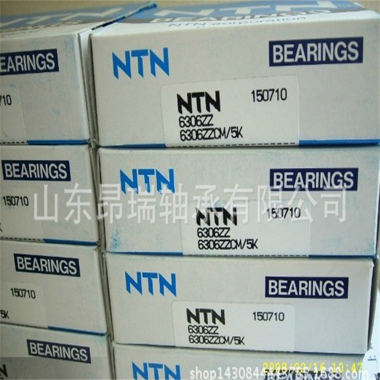 NTN (10)