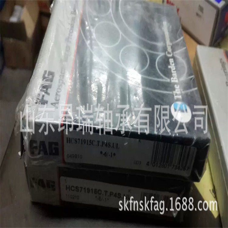 进口轴承 (130)