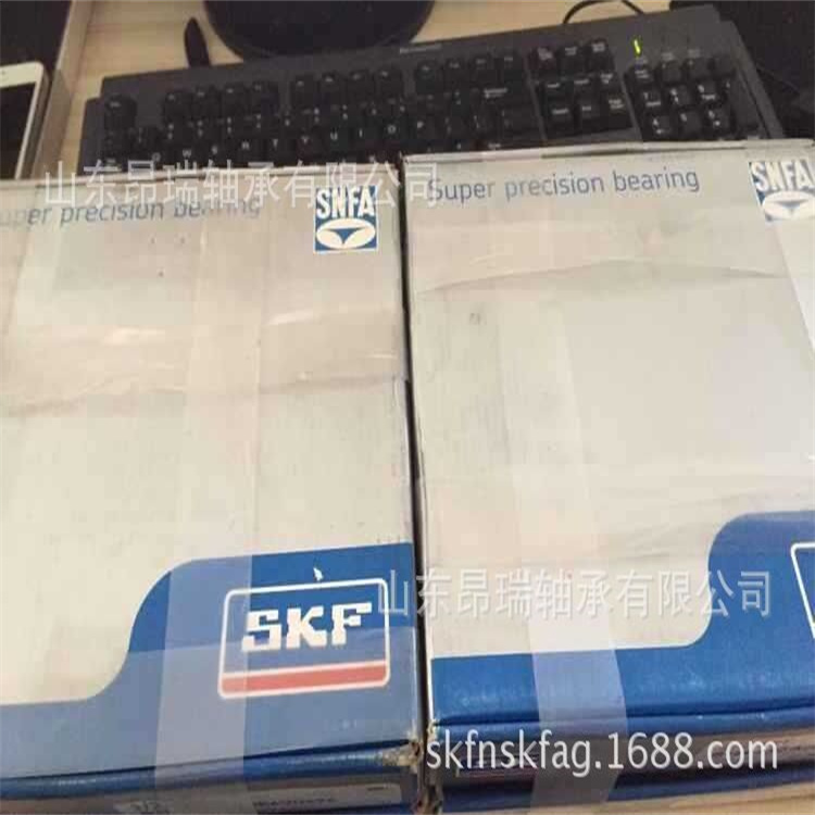 SKF轴承 (89)
