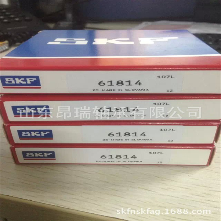 进口轴承 (155)