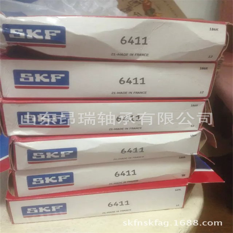 进口轴承 (47)