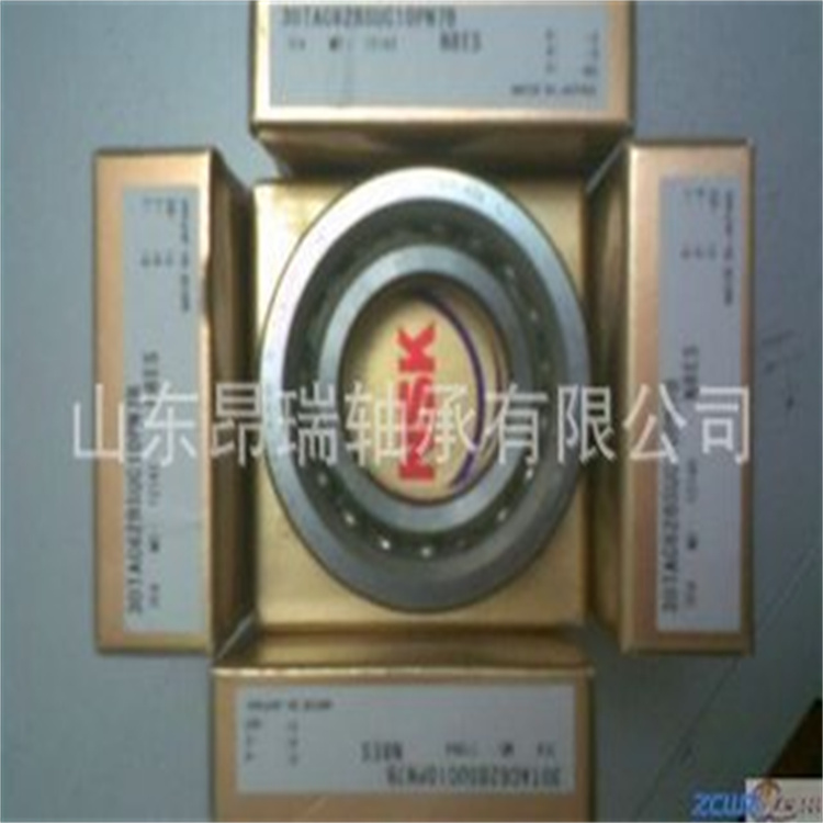 丝杠轴承 (46)