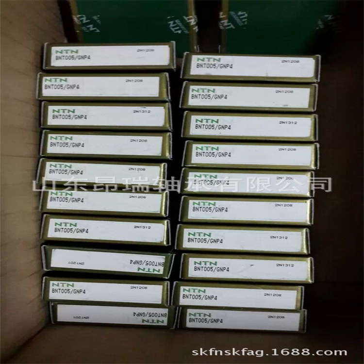 BNT005/GNP4