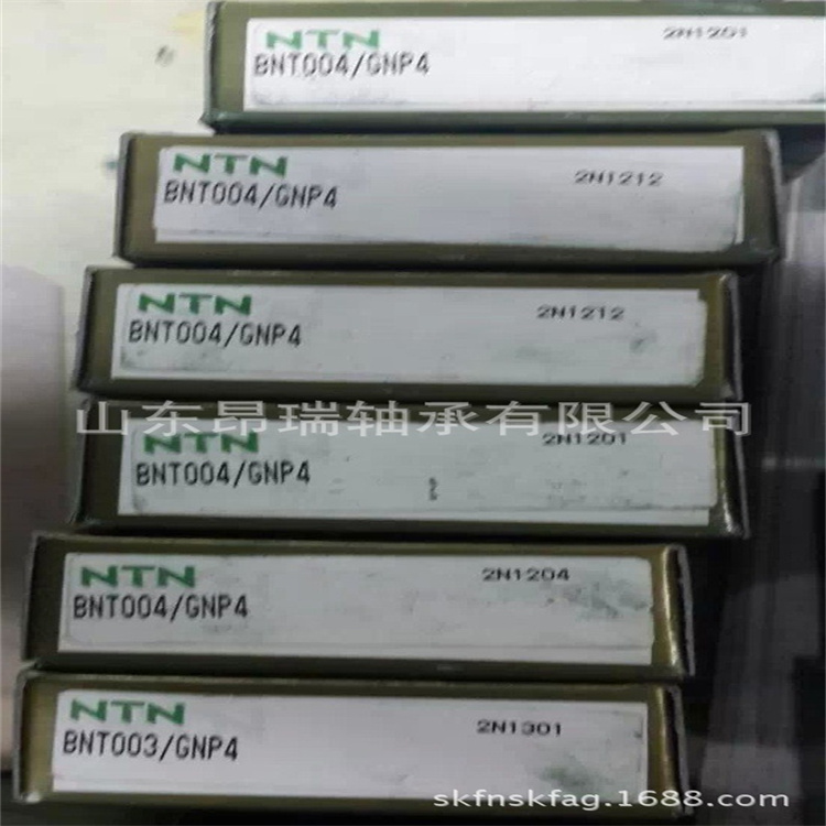 BNT004/GNP4