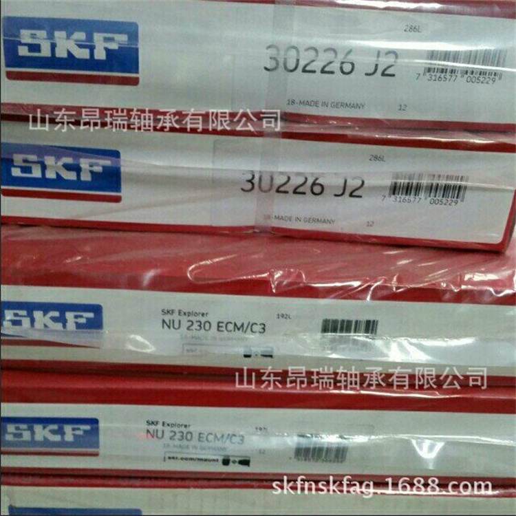 进口轴承 (32)