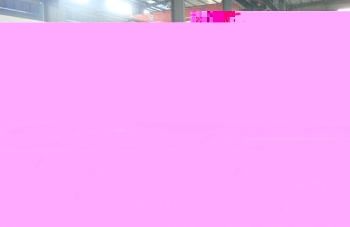 欢迎永新出租进口发电机让您省心放心