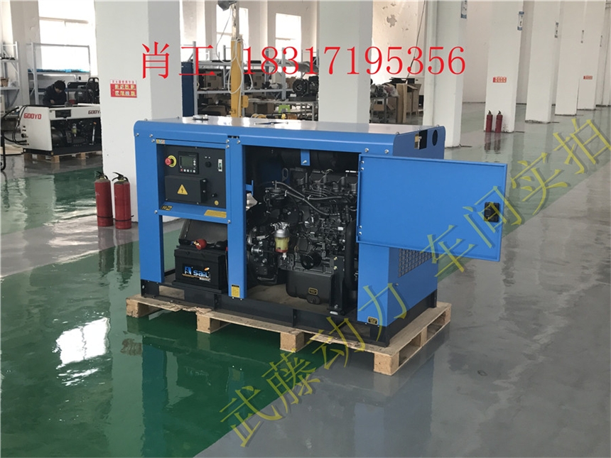 高碑店300KW汽油发电机5千瓦