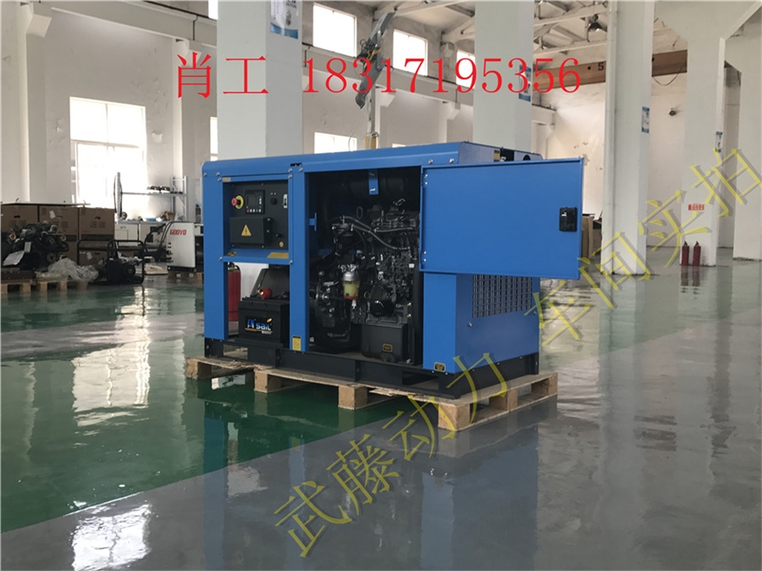 高碑店300KW汽油发电机5千瓦