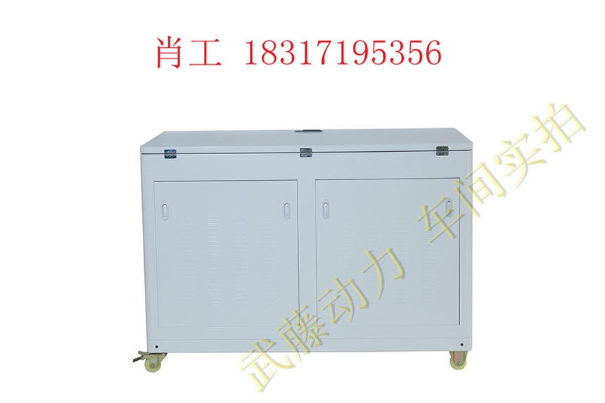 常宁50KW5千瓦数码汽油发电机