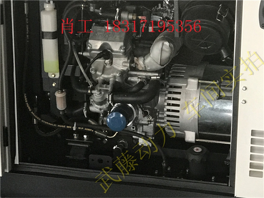 青川县95KW20kw汽油发电机组