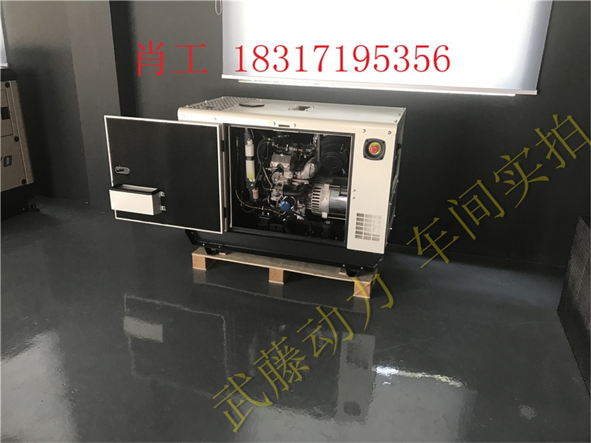 河源35KW汽油三相发电机价格