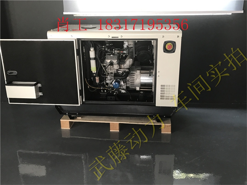 宁夏6KW小型汽油发电机的价格