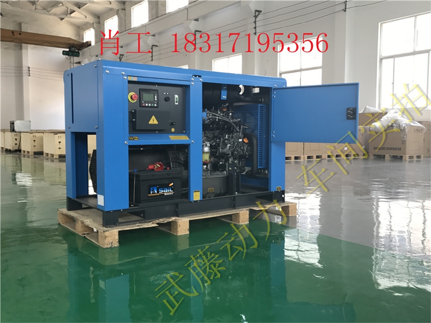 灵丘县290KW单相汽油发电机