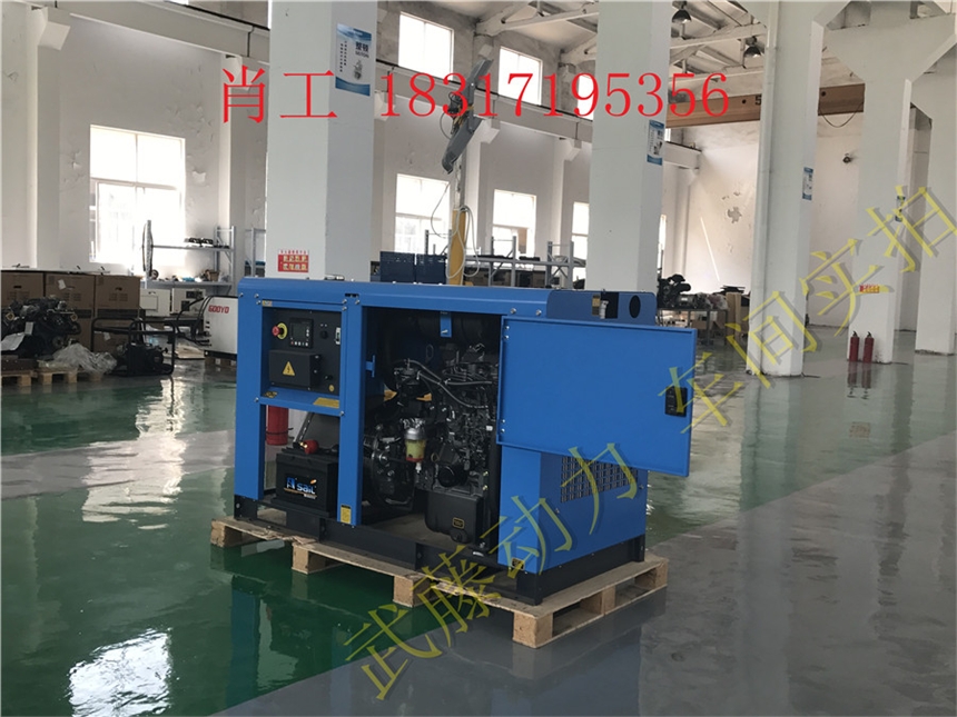 安国10KW汽油发电机生产厂家