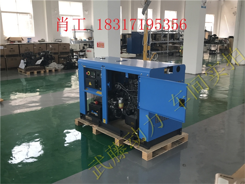 江安县25kw6kw汽油发电机