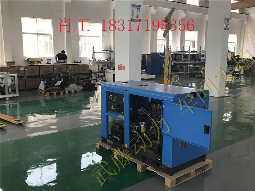 吐鲁番350KW10kw科勒汽油发电机