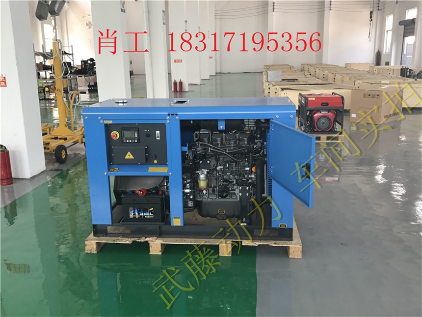 建平县16KW小型汽油发电机操作