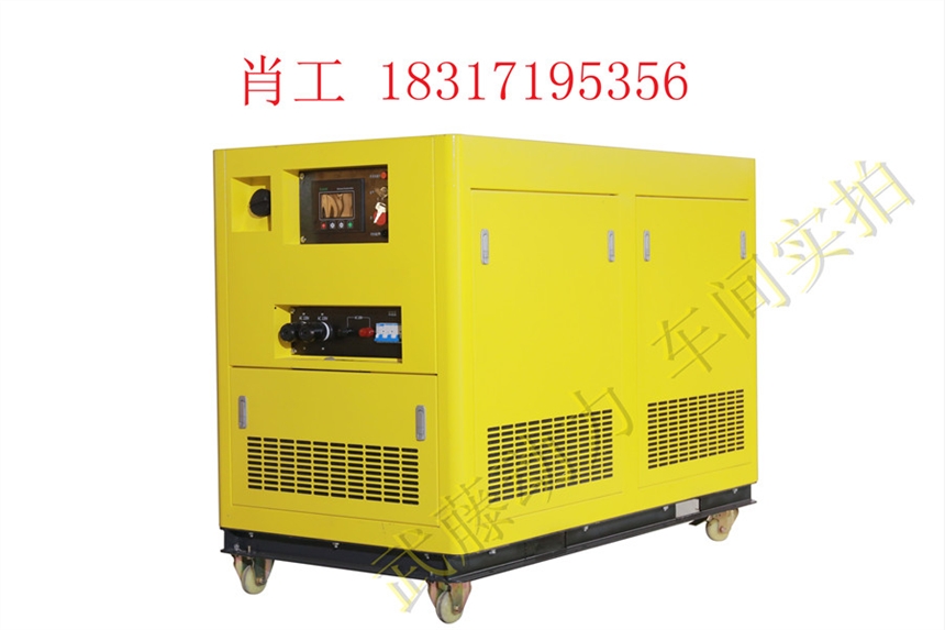 耒阳10千瓦10kw汽油发电机