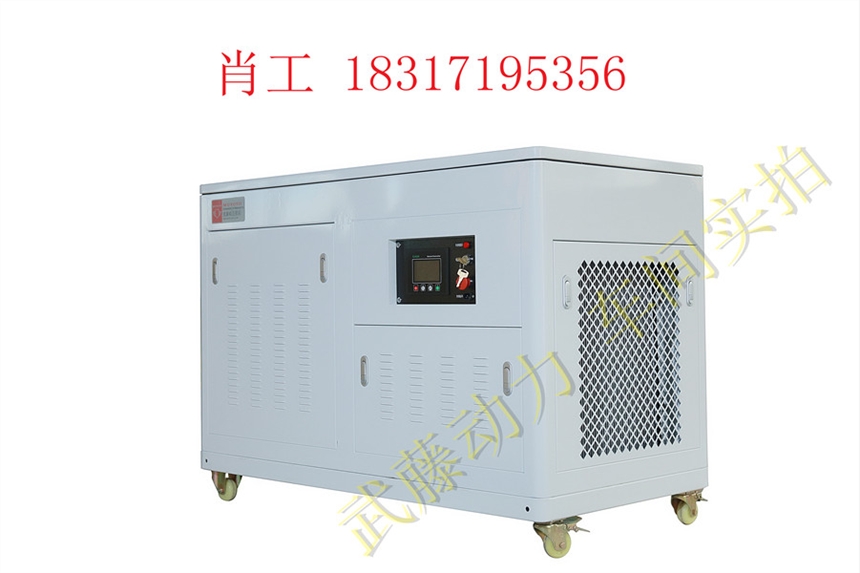 淅川县16KW冰激凌车用20KW大功率汽油发电机