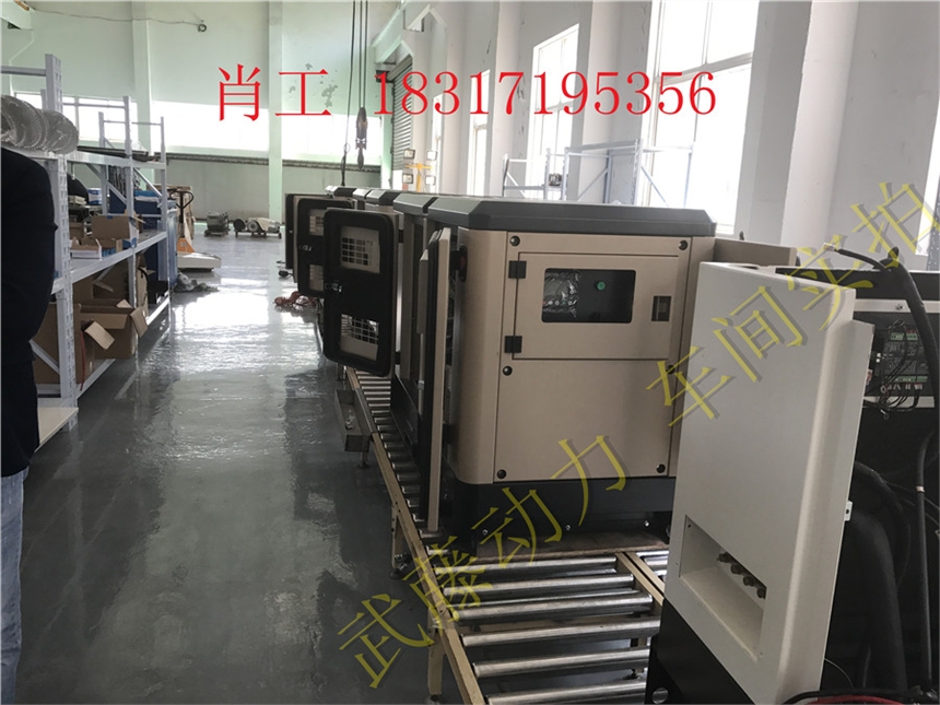 淅川县16KW冰激凌车用20KW大功率汽油发电机