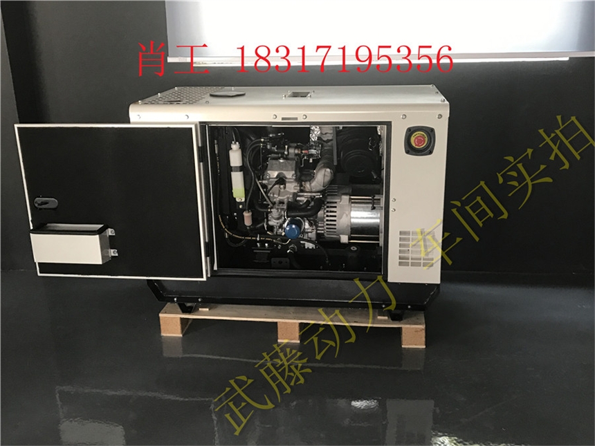 鲁甸县6千瓦家用小型汽油发电机