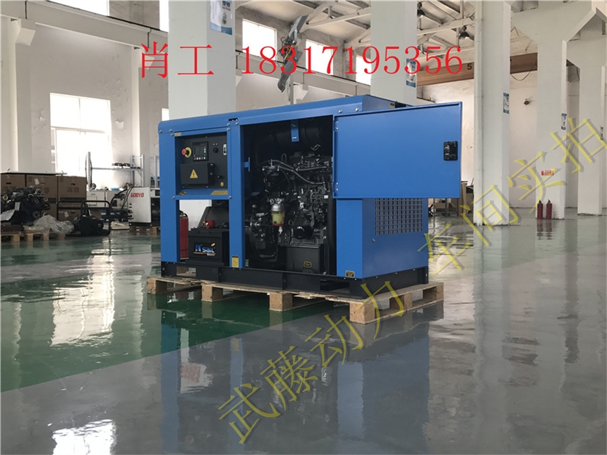 钦北区50KW单向汽油发电机