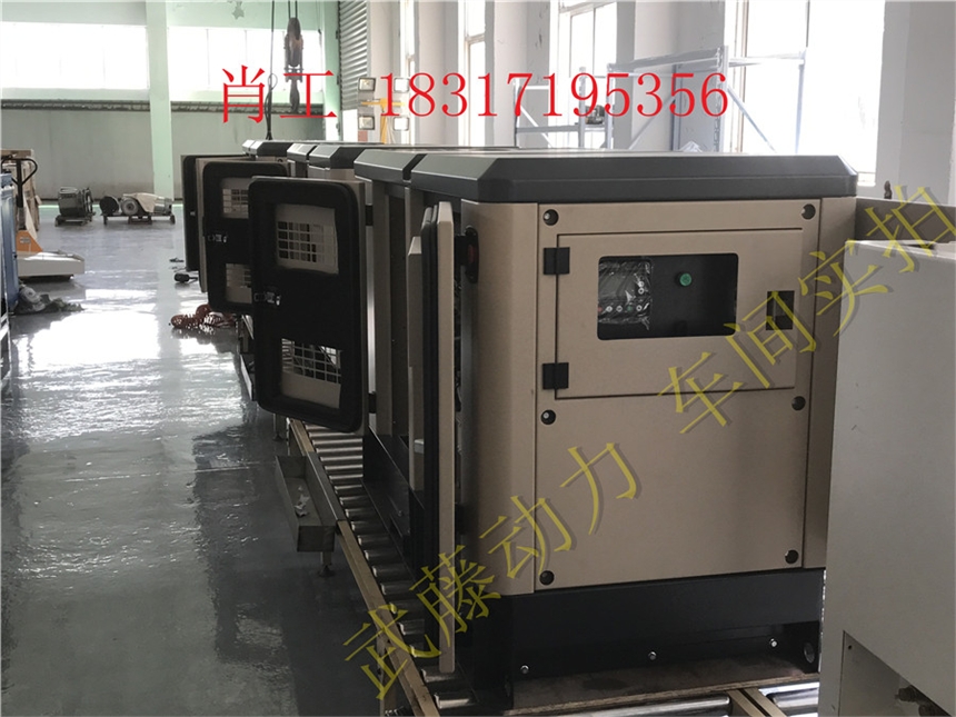 嘉善县15KW超静音汽油发电机25kw
