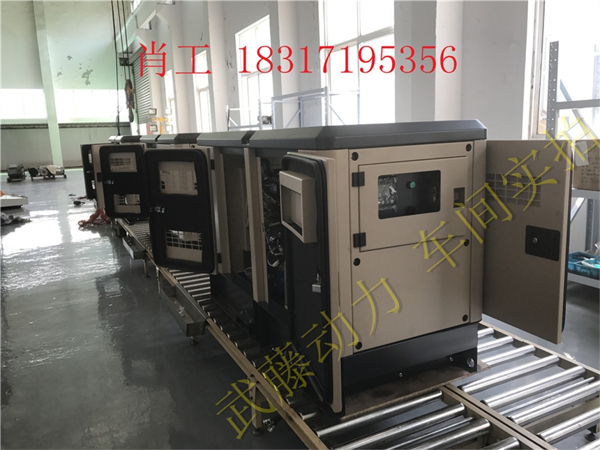 德安县250KW汽油发电机的价格