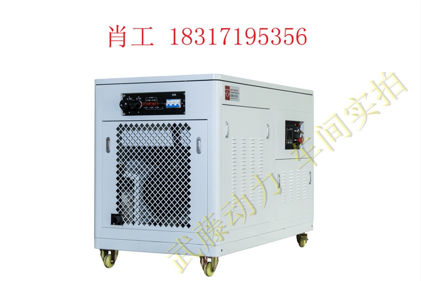 德安县250KW汽油发电机的价格