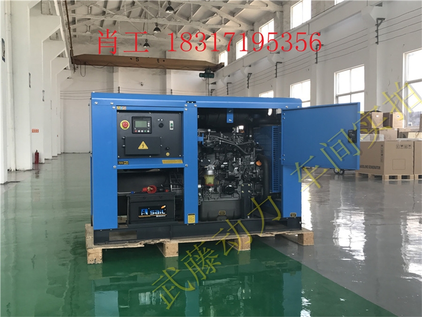 剑河县10KW10kw汽油发电机