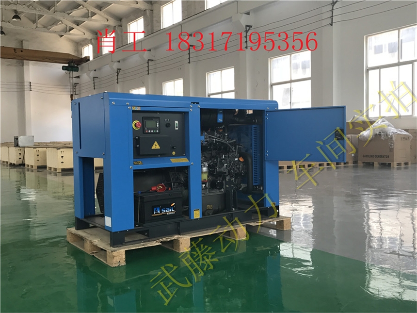 宜章县95KW超小型汽油发电机