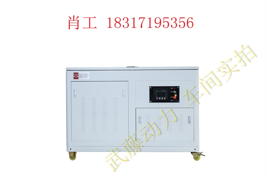 辽中县2KW12KW汽油发电机 静音带全自动发电机