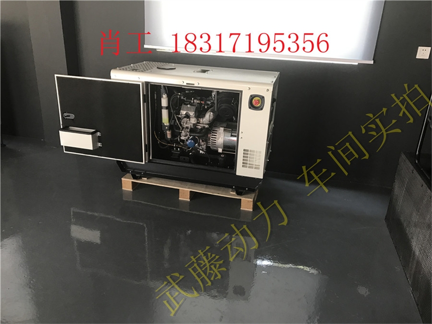 泸县25KW静音全自动汽油发电机