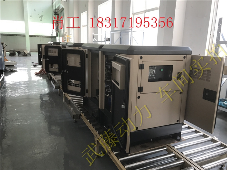 荥阳45KW30kw汽油发电机
