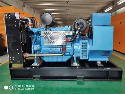 青海海西族藏族自治州潍柴发电机假一罚十