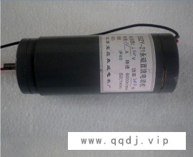 南京微型直流永磁电机图1