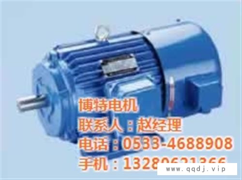 力矩电机参数_力矩电机_博特电机图1